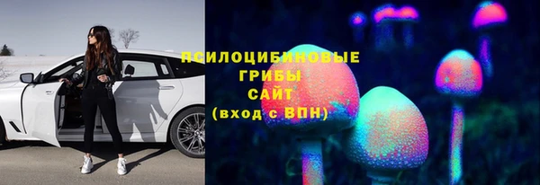 СК Алексеевка
