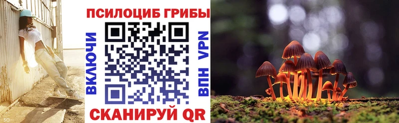 продажа наркотиков  Пикалёво  Галлюциногенные грибы Psilocybine cubensis 